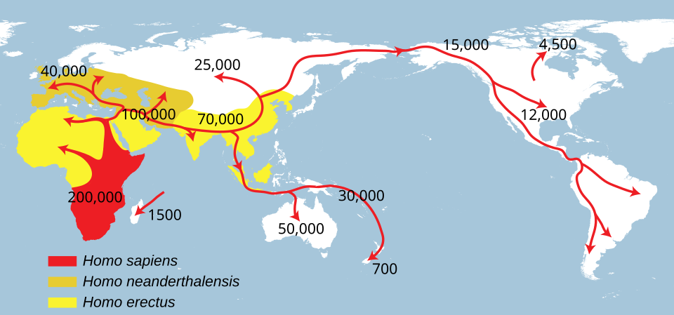 960px-Spreading_homo_sapiens_la.svg.png